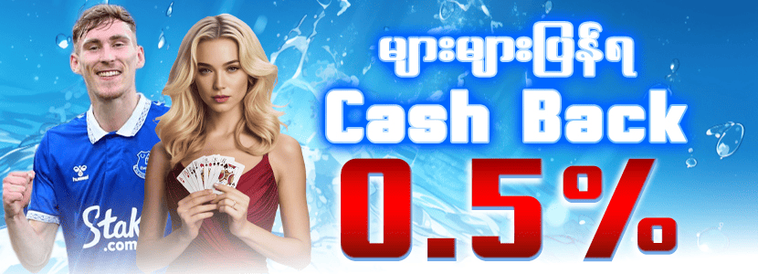 Cash Back 0.5%